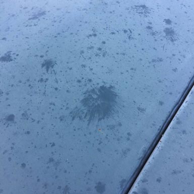 Hail Spatter