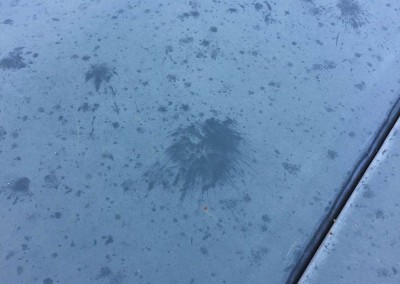 Hail Spatter
