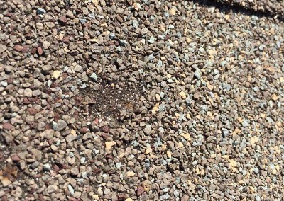 Roof Shingle Hail Damage
