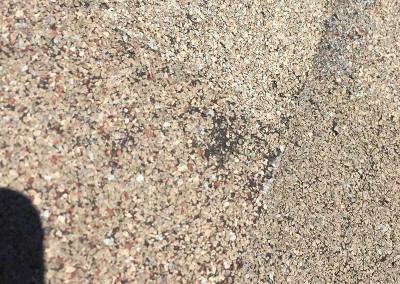 Roof Shingle Hail Damage