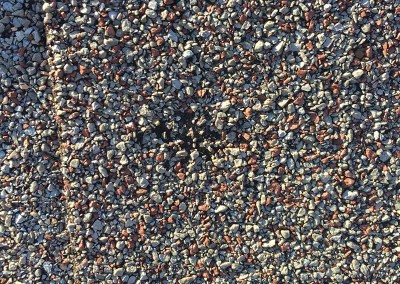 Roof Shingle Hail Damage