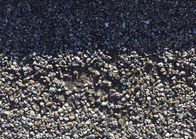 Roof Shingle Hail Damage
