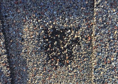 Roof Shingle Hail Damage