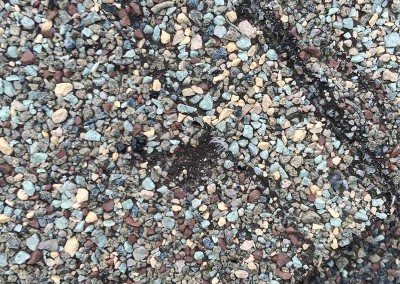 Roof Shingle Hail Damage