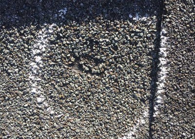 Roof Shingle Hail Damage