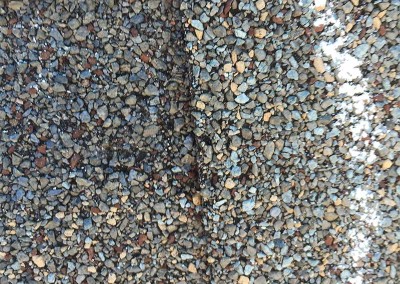 Roof Shingle Hail Damage