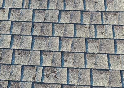 Architectural Shingle Hail Damage