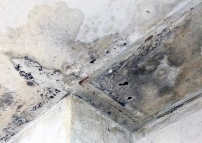 Mold on ceiling tiles
