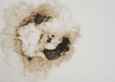 Mold Growing on ceiling