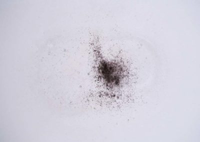 Black Mold Growing Moist Sheetrock