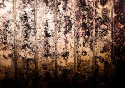Wet Mold Sheetrock