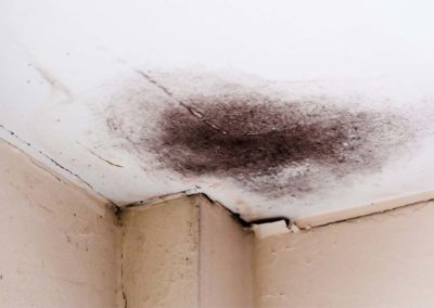 Mold In Corners Of Ceiling