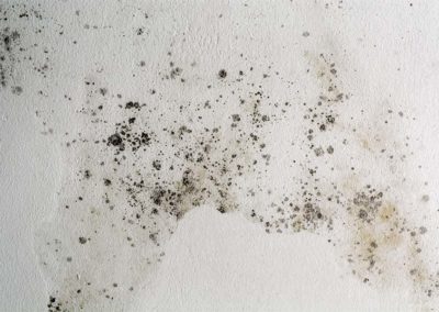 Mold Spots On Walls