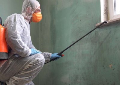 Mold Remediation