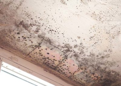 Mold Growing on Painted Ceiling