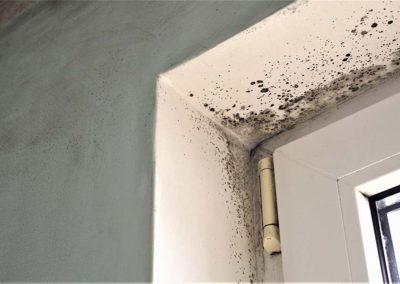 Mold Growing In Doorway