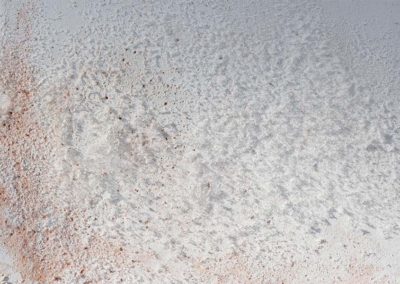 White Mold on walls