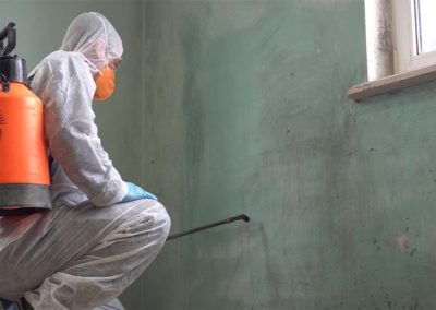 Mold cleanup crew
