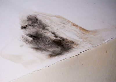 Mold on ceiling