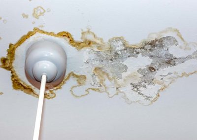 Mildew around light fixture