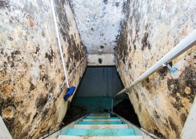 Mold infestation