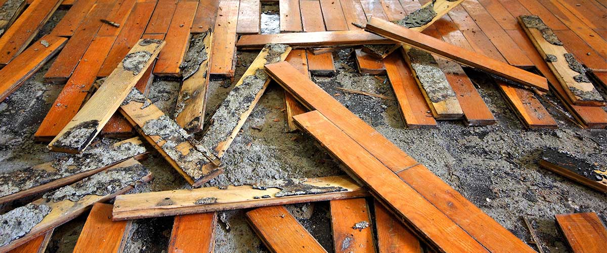 Water Damaged Wood Floors