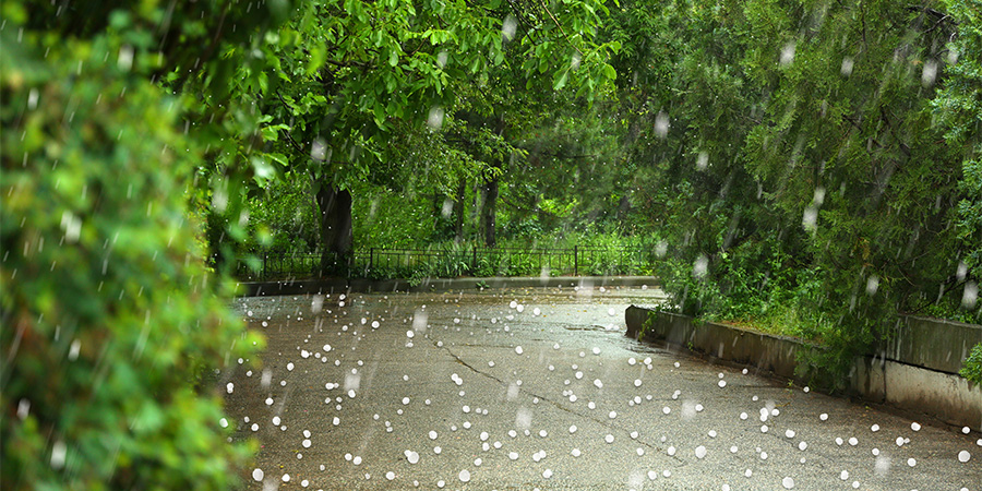 Upstate New York Hit By Graupel As Early Winter Storm Builds