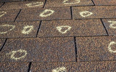15 Hail Damage Statistics in Florida