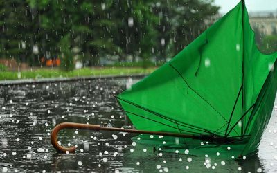 15 Hail Damage Statistics in Georgia